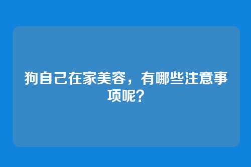 狗自己在家美容，有哪些注意事项呢？