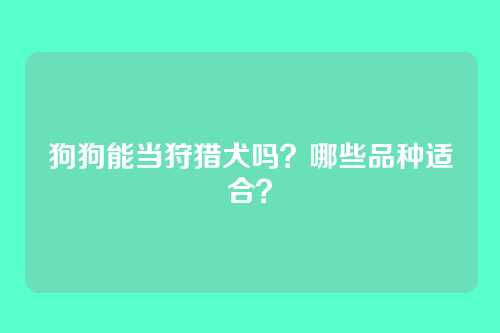 狗狗能当狩猎犬吗？哪些品种适合？