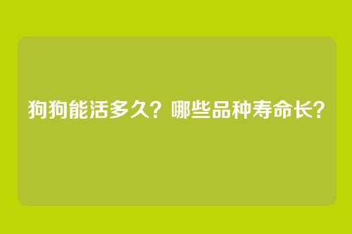 狗狗能活多久?哪些品种寿命长?