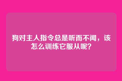 狗对主人指令总是听而不闻,该怎么训练它服从呢?