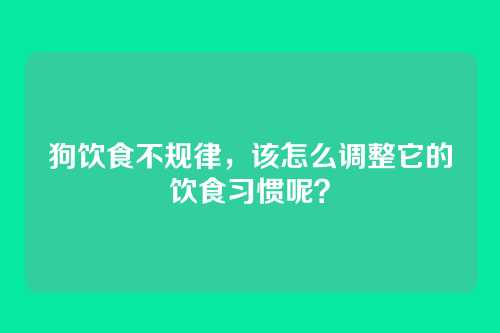 狗饮食不规律,该怎么调整它的饮食习惯呢?