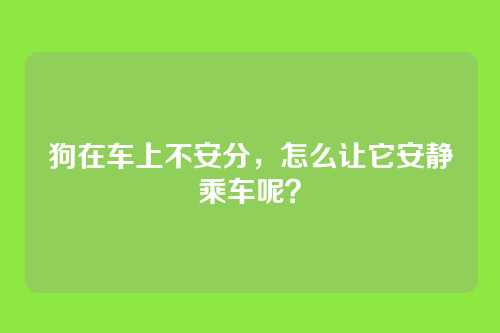 狗在车上不安分，怎么让它安静乘车呢？