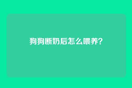 狗狗断奶后怎么喂养？