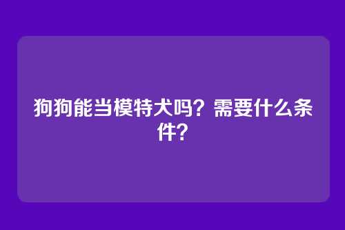 狗狗能当模特犬吗?需要什么条件?