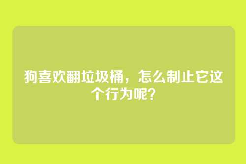 狗喜欢翻垃圾桶，怎么制止它这个行为呢？
