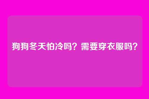 狗狗冬天怕冷吗？需要穿衣服吗？
