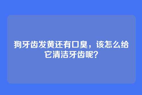 狗牙齿发黄还有口臭，该怎么给它清洁牙齿呢？