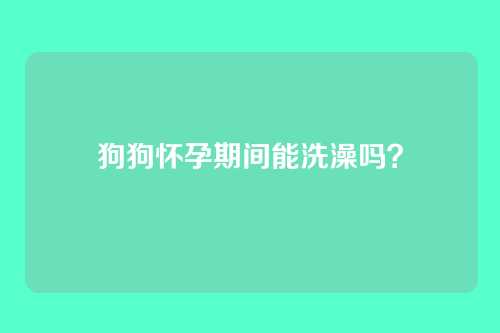 狗狗怀孕期间能洗澡吗?