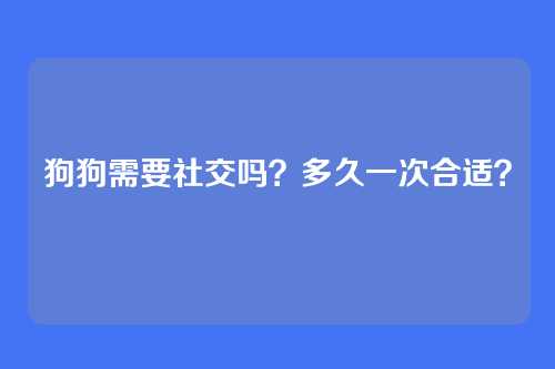 狗狗需要社交吗？多久一次合适？