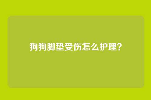 狗狗脚垫受伤怎么护理？