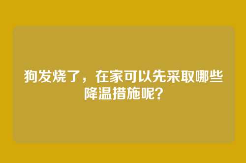 狗发烧了，在家可以先采取哪些降温措施呢？
