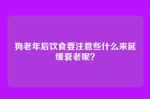 狗老年后饮食要注意些什么来延缓衰老呢?