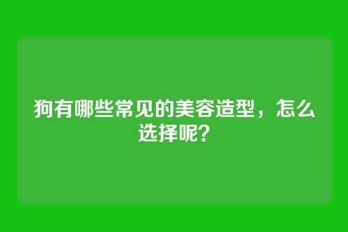 狗有哪些常见的美容造型，怎么选择呢？