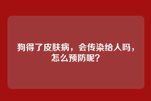 狗得了皮肤病，会传染给人吗，怎么预防呢？
