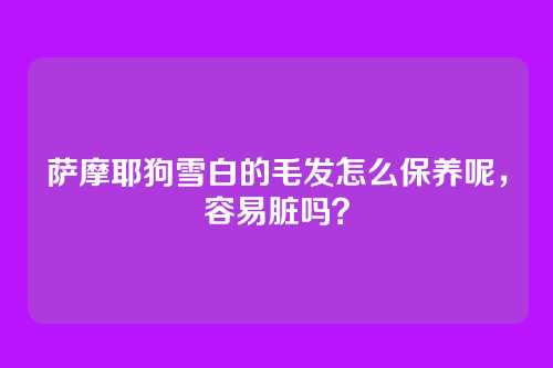 萨摩耶狗雪白的毛发怎么保养呢，容易脏吗？