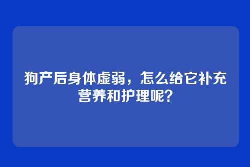 狗产后身体虚弱，怎么给它补充营养和护理呢？