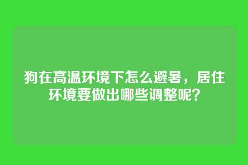 狗在高温环境下怎么避暑，居住环境要做出哪些调整呢？
