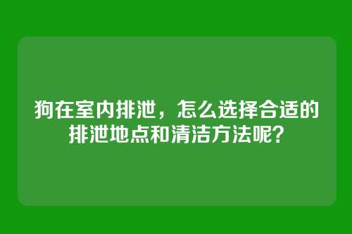 狗在室内排泄，怎么选择合适的排泄地点和清洁方法呢？