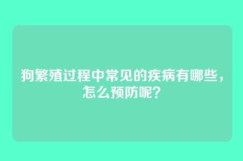 狗繁殖过程中常见的疾病有哪些，怎么预防呢？