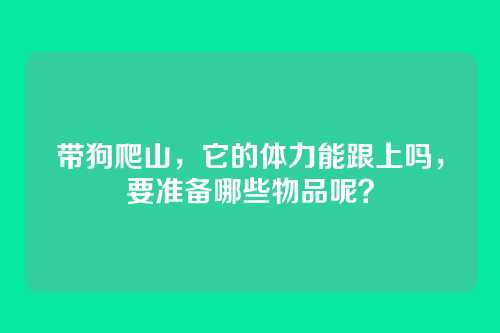 带狗爬山，它的体力能跟上吗，要准备哪些物品呢？