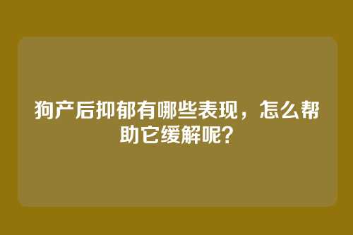 狗产后抑郁有哪些表现，怎么帮助它缓解呢？