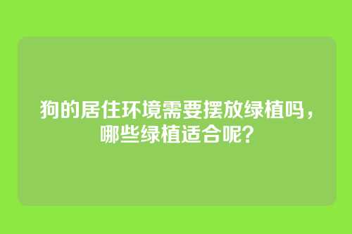 狗的居住环境需要摆放绿植吗，哪些绿植适合呢？