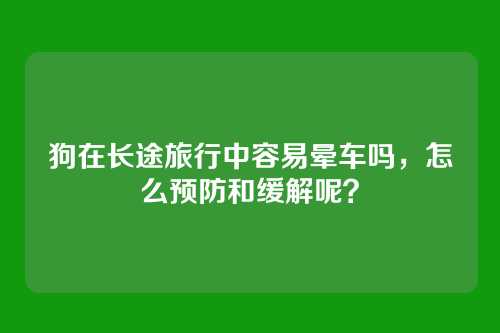 狗在长途旅行中容易晕车吗，怎么预防和缓解呢？