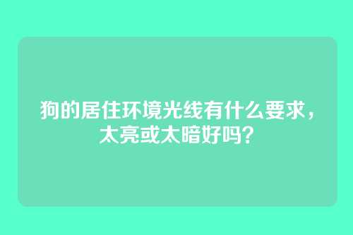 狗的居住环境光线有什么要求，太亮或太暗好吗？