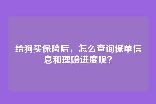 给狗买保险后，怎么查询保单信息和理赔进度呢？