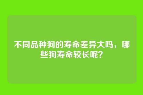 不同品种狗的寿命差异大吗，哪些狗寿命较长呢？