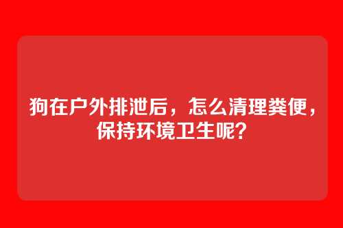 狗在户外排泄后，怎么清理粪便，保持环境卫生呢？