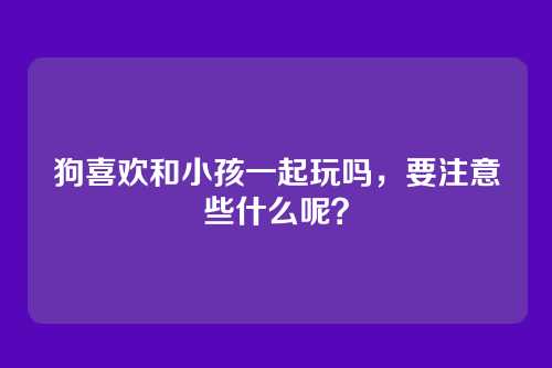 狗喜欢和小孩一起玩吗,要注意些什么呢?