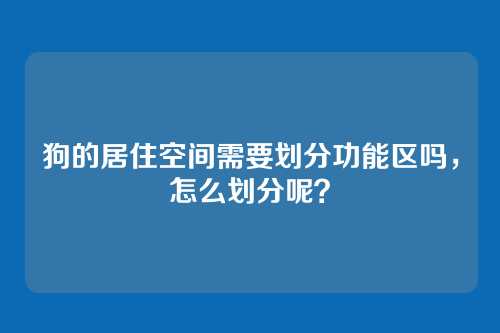 狗的居住空间需要划分功能区吗,怎么划分呢?