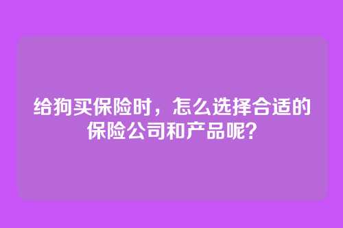 给狗买保险时,怎么选择合适的保险公司和产品呢?