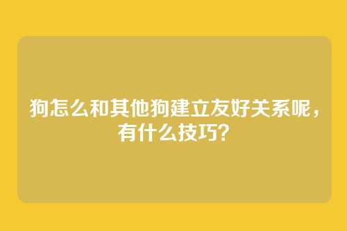 狗怎么和其他狗建立友好关系呢，有什么技巧？