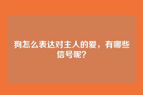 狗怎么表达对主人的爱，有哪些信号呢？