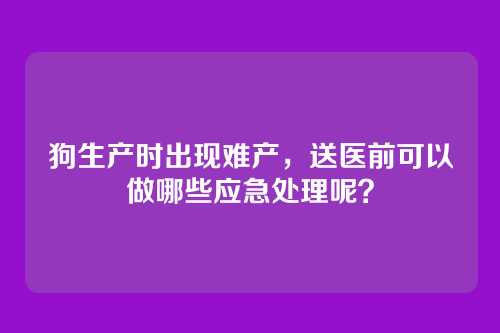 狗生产时出现难产，送医前可以做哪些应急处理呢？