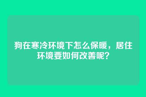 狗在寒冷环境下怎么保暖，居住环境要如何改善呢？