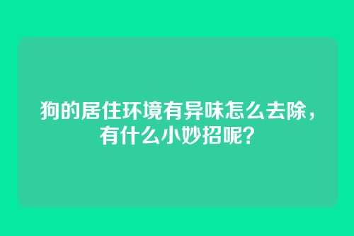 狗的居住环境有异味怎么去除，有什么小妙招呢？