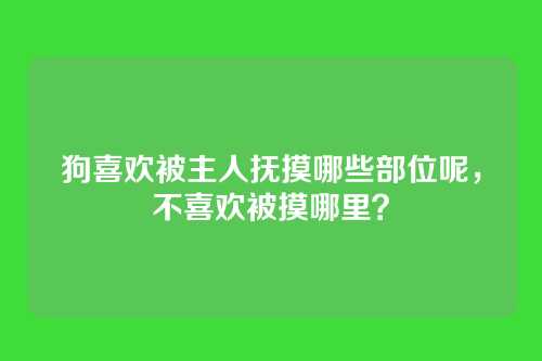 狗喜欢被主人抚摸哪些部位呢，不喜欢被摸哪里？