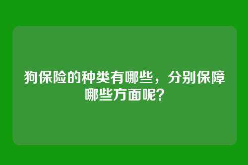 狗保险的种类有哪些，分别保障哪些方面呢？