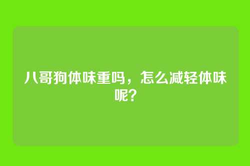 八哥狗体味重吗，怎么减轻体味呢？