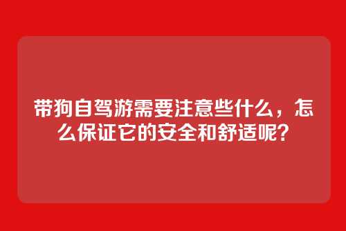 带狗自驾游需要注意些什么，怎么保证它的安全和舒适呢？