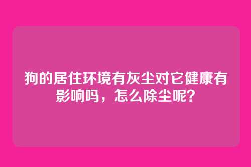 狗的居住环境有灰尘对它健康有影响吗，怎么除尘呢？