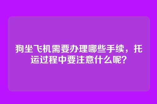 狗坐飞机需要办理哪些手续，托运过程中要注意什么呢？