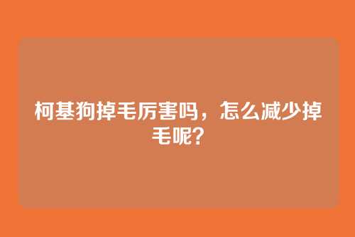 柯基狗掉毛厉害吗，怎么减少掉毛呢？