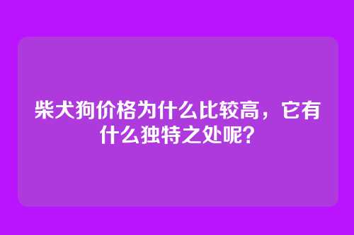 柴犬狗价格为什么比较高，它有什么独特之处呢？