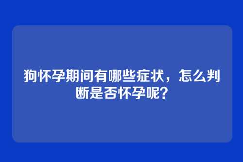 狗怀孕期间有哪些症状，怎么判断是否怀孕呢？