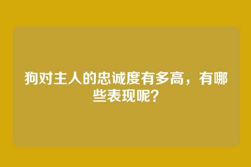 狗对主人的忠诚度有多高,有哪些表现呢?