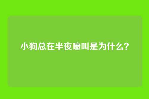 小狗总在半夜嚎叫是为什么？